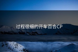 过程很细的开车百合CP