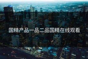 国精产品一品二品国精在线观看