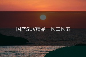 国产SUV精品一区二区五