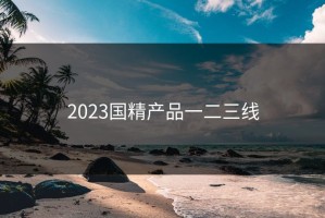 2023国精产品一二三线
