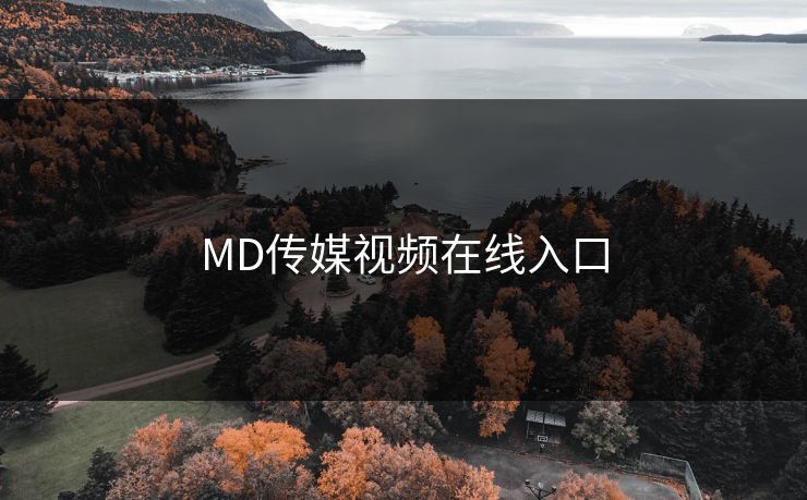 MD传媒视频在线入口 MD传媒视频在线入口