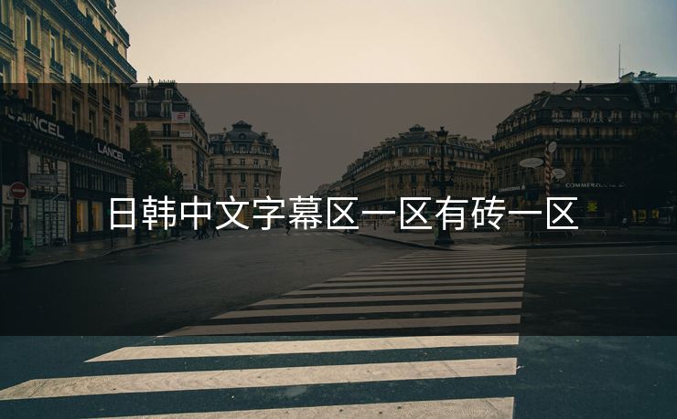 日韩中文字幕区一区有砖一区 日韩中文字幕区一区有砖一区