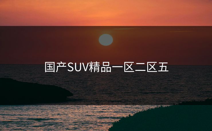 国产SUV精品一区二区五 国产SUV精品一区二区五