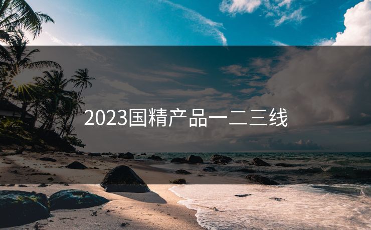 2023国精产品一二三线